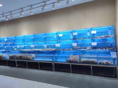 -前王院•巧克力海鲜市集餐厅(万平口店)