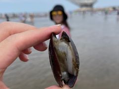 -山海广场