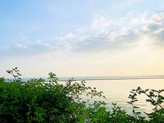 -贡湖湾湿地公园
