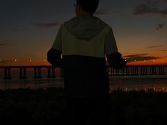 -宝安西湾红树林湿地公园