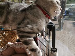 -平行世界·猫咖(首经贸店)