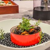 “只要jiao”嘦大肚皮｜吃这家店还能学会个生僻字