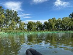 -WhaleSports户外水上运动俱乐部(朝阳公园店)