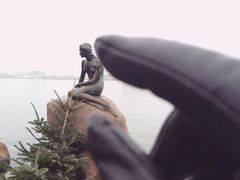 -美人鱼