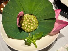 -叶叶菩提(太原别墅店)