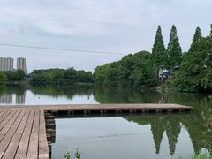 -长田漾湿地公园
