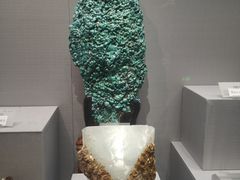 -湖南省地质博物馆