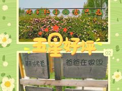 -前小桔亲子创意农场·草莓采摘·露营烧烤