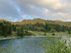 -武陵山森林公园