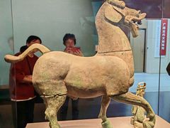 -广西壮族自治区博物馆