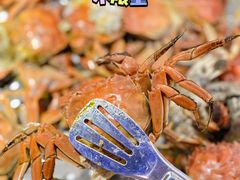 -星海汇海鲜烤肉火锅自助(二七广场百年德化店)