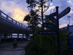 -演武大桥观景平台