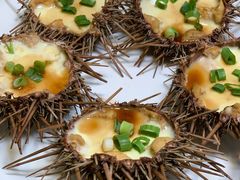 -海胆小馆(东北水饺·春柳店)