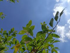 -南京市无想山景区