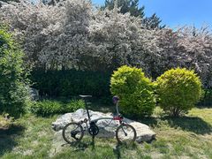 -元大都城垣遗址公园