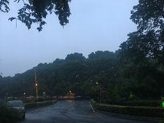 -南京国际会议大酒店