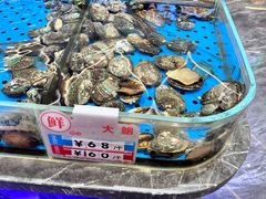 -大连湾旭日·家宴·海肠捞饭(马栏广场店)