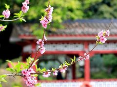 -西湖公园(鼓楼区)