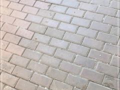 -黑色经典臭豆腐·湖南特产(步行街店)