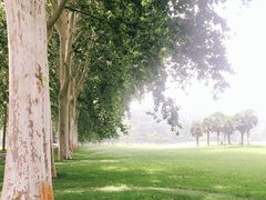 -河南省黄河迎宾馆