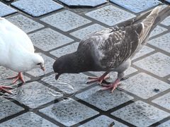 -优托邦(长兴路店)