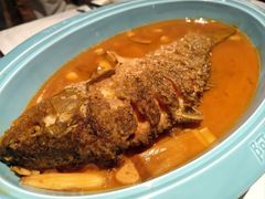 -阿五黄河大鲤鱼(纬三路店)