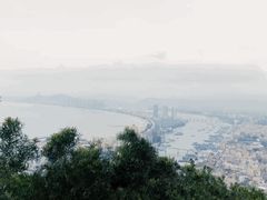 -广东惠东海龟国家级自然保护区