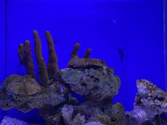 -上海海昌海洋公园