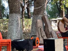 -长白岛森林公园