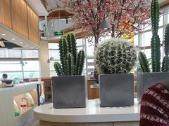 -蜜桃餐厅·伴山(湖滨商业街店)