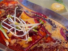 -辣伍鲜毛肚老火锅(元一店)