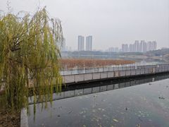 -月湖风景区