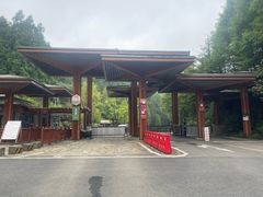 -山王坪喀斯特国家生态公园