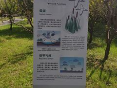 -同里国家湿地公园