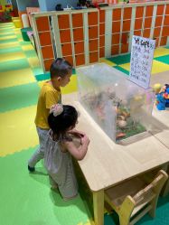 -宝燕乐园(闵行旗舰店)