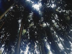 -太阳湾风景区
