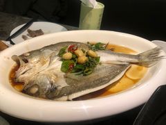 葱椒鲈鱼-绿茶餐厅(天津天河城店)