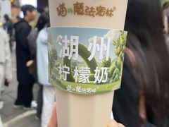 -猫的魔法密林(衣裳街店)
