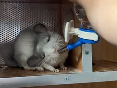 -关爱动物医院·心脏·中兽医·异宠(金牛路分院)