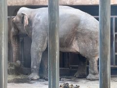 -石家庄市动物园