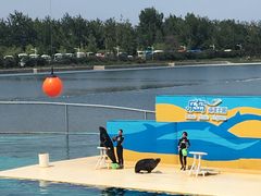 -秦皇岛乐岛海洋王国