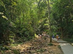 -火炉山森林公园