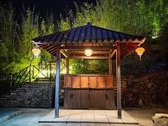 -崇阳三特浪口温泉