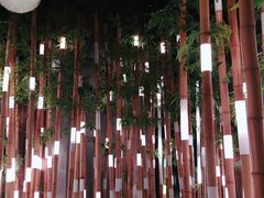 -黄龙溪欢乐田园