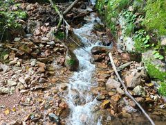 -五女峰国家森林公园