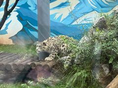 -青藏高原野生动物园