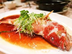 -陶陶居海鲜酒家(新马路店)