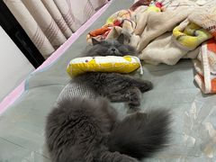 -联合动物医院(光谷诊疗中心)