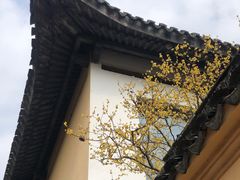 -无锡梅园公园