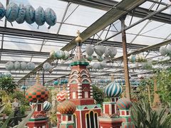 -南宫五洲植物乐园